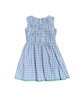 Meet Marie Blue Gingham Brune Dress