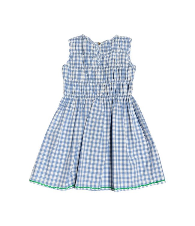 Meet Marie Blue Gingham Brune Dress