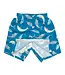 Easy Change Swim Trunks