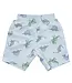 Easy Change Swim Trunks