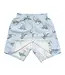 Easy Change Swim Trunks