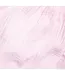 Jaipur Pink Leela Dress