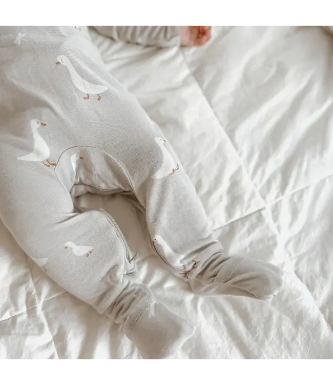 gunamuna Convertible PJ