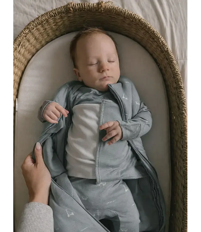 Swaddle 1.0 NB-3m