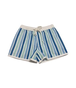 Blue Stripe Sea Short