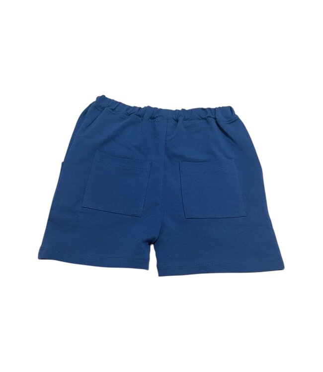 Ishtex Navy Shorts