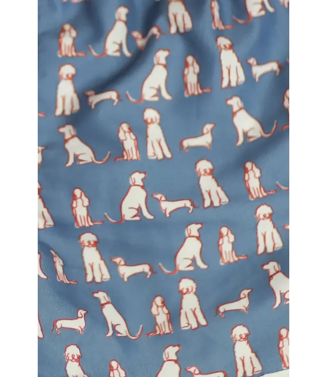 Americana Dogs Swim Short