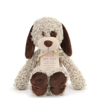 demdaco Gift from the New Kid Bear