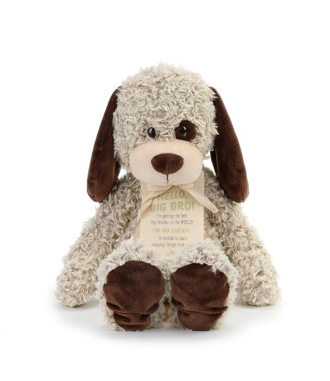 demdaco Gift from the New Kid Bear