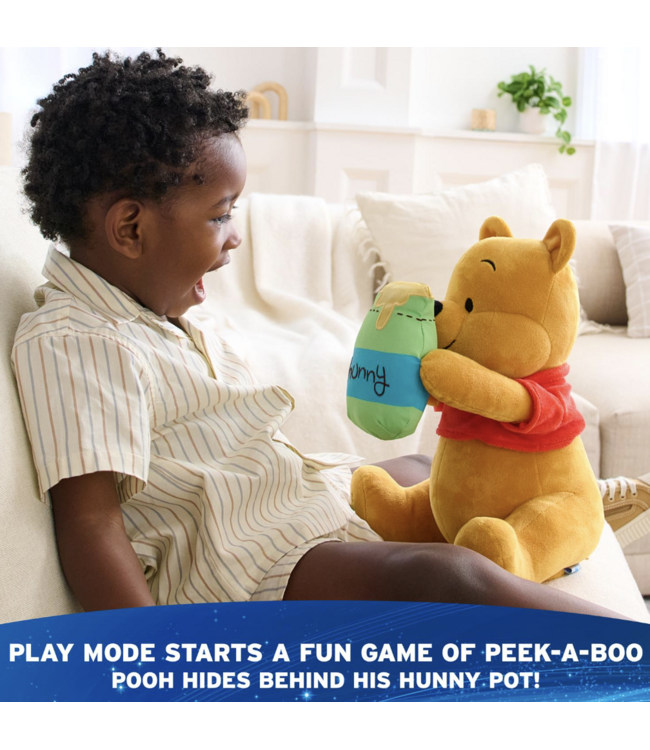 Gund Peek-A-Boo Pooh Animated Plush