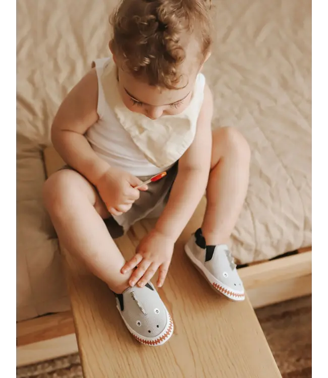 Soft Soles Dino Dan