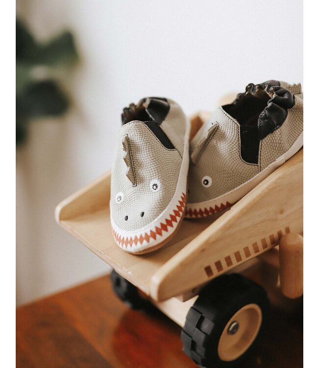 Soft Soles Dino Dan