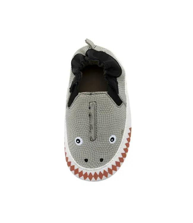 Soft Soles Dino Dan