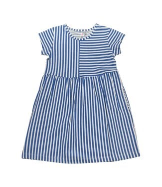 Blue/White Stripe Dress