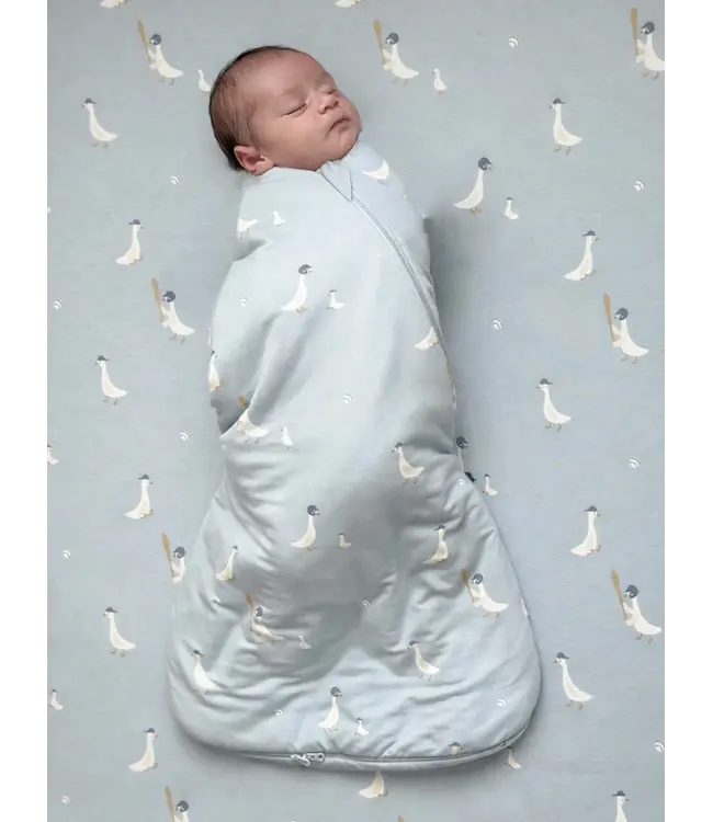 Swaddle 1.0 NB-3m