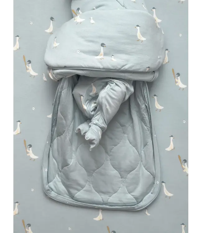 Swaddle 1.0 NB-3m