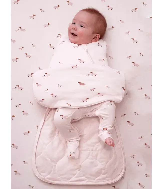 Swaddle 1.0 NB-3m