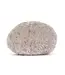 Jellycat Amuseables Pebble
