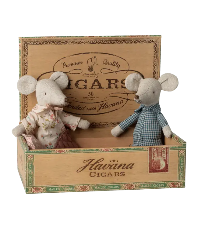 Grandma and Grandpa Mice in Cigarbox