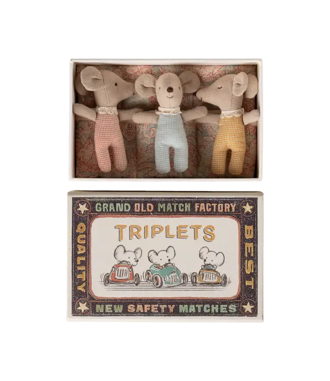Triplets, Baby Mice in Matchbox - Checker