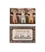 Triplets, Baby Mice in Matchbox - Checker