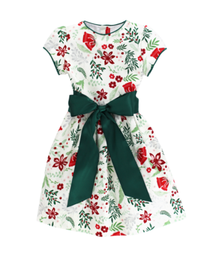 Bailey Boys Heirloom Holly with Basil Dress