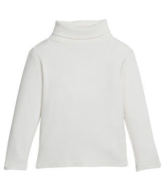Bisby Ivory Ribbed Turtleneck