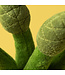 Amuseables Asparagus