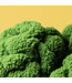 Amuseables Broccoli