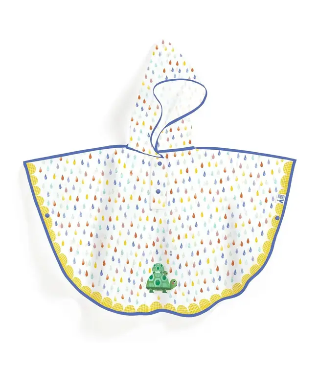 Rain Cape Turtle