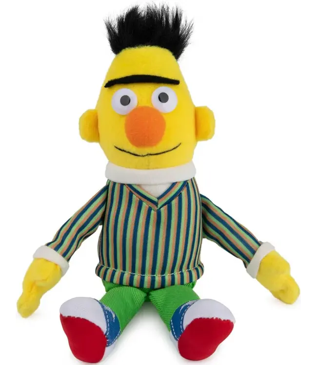 Bean Bag Character
