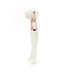 Jellycat Blossom Cream Bunny Berry Comforter