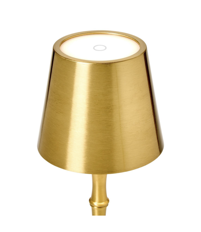 LED Portable Cordless Gold Bamboo Table Lamp