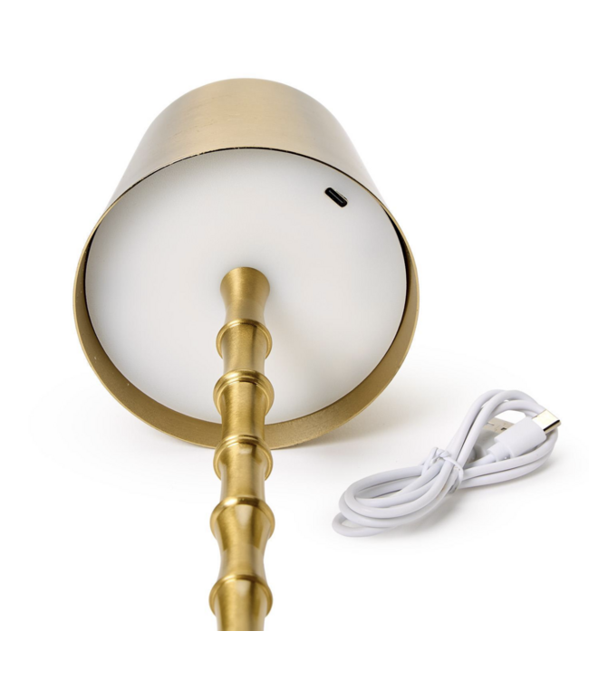 LED Portable Cordless Gold Bamboo Table Lamp
