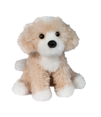 Douglas Darcy Golden Doodle