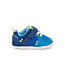 Viento Mini Bold Blue