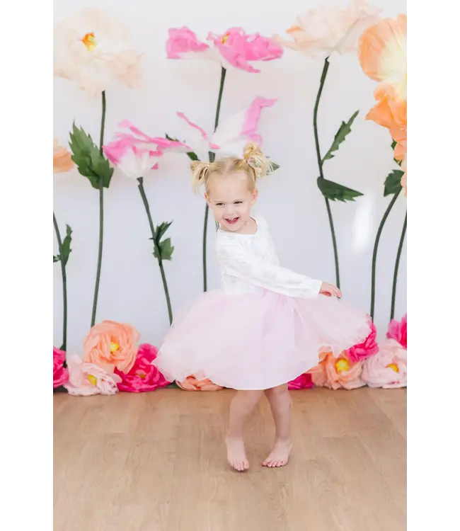 Magical Fairytale L/S Tutu Dress