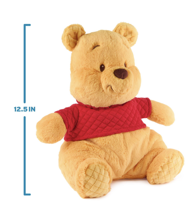 Oh So Snuggly Winnie the Pooh