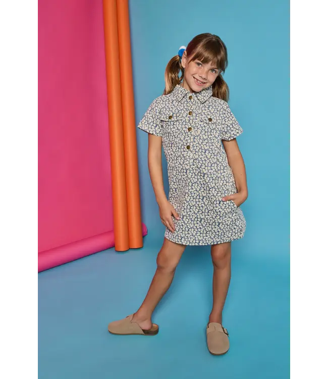 French Blue Corduroy Safari Popover Dress