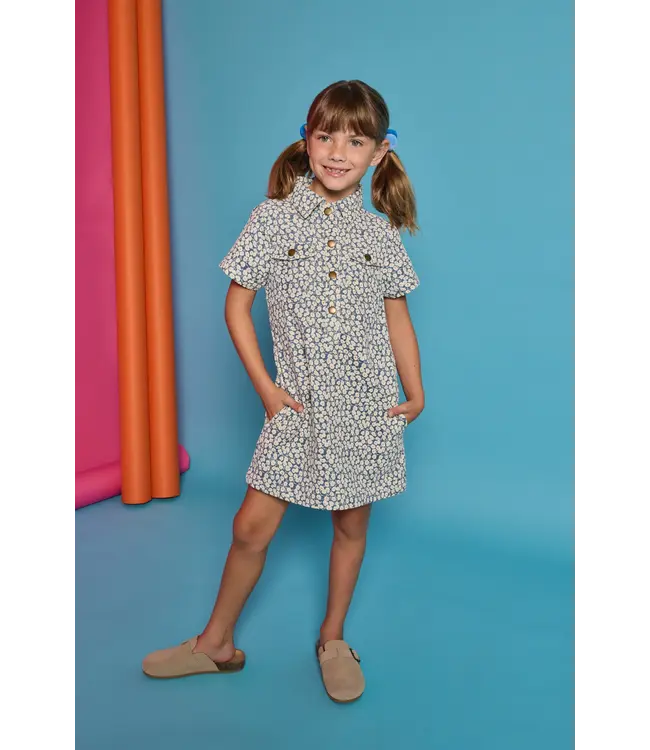 French Blue Corduroy Safari Popover Dress