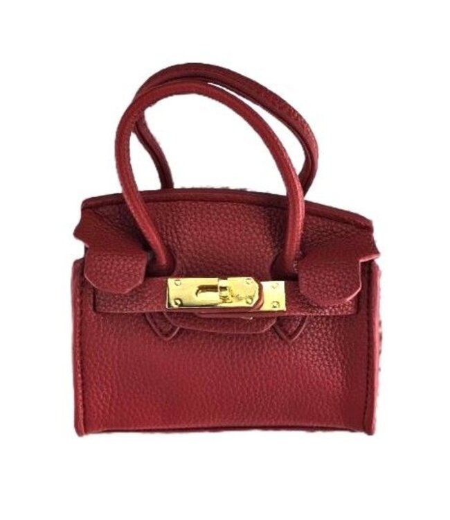 Leather Purse with Gold Latch