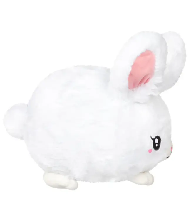 Mini Fluffy Bunny