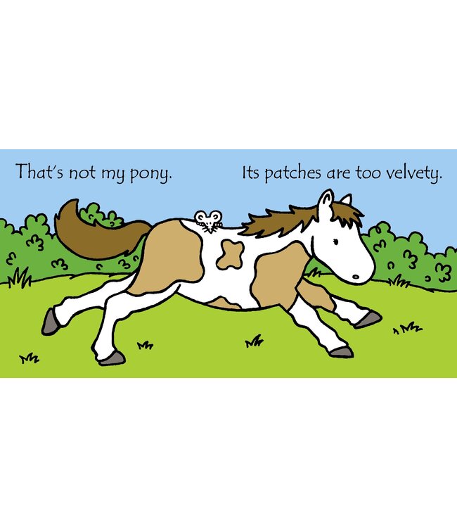 That's Not My Pony