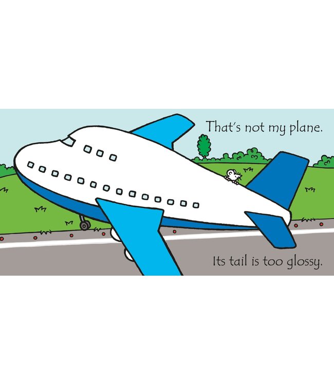 That's Not My Plane