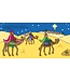 Touchy-Feely The Nativity