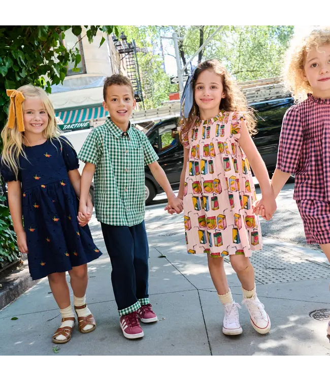 Juice Boxes Stevie Dress