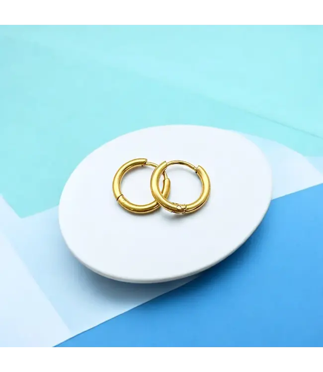 Tiny Hoops Earrings