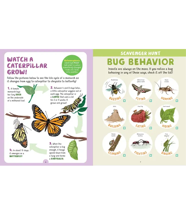 Backpack Explorer: Bug Hunt