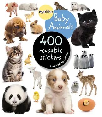 hachette book group Eyelike Stickers