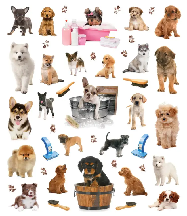 Eyelike Stickers